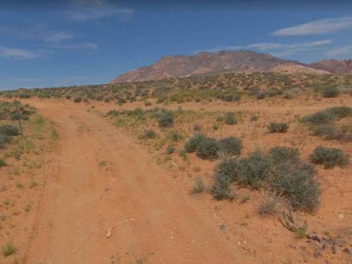 BLM13476 photo 5
