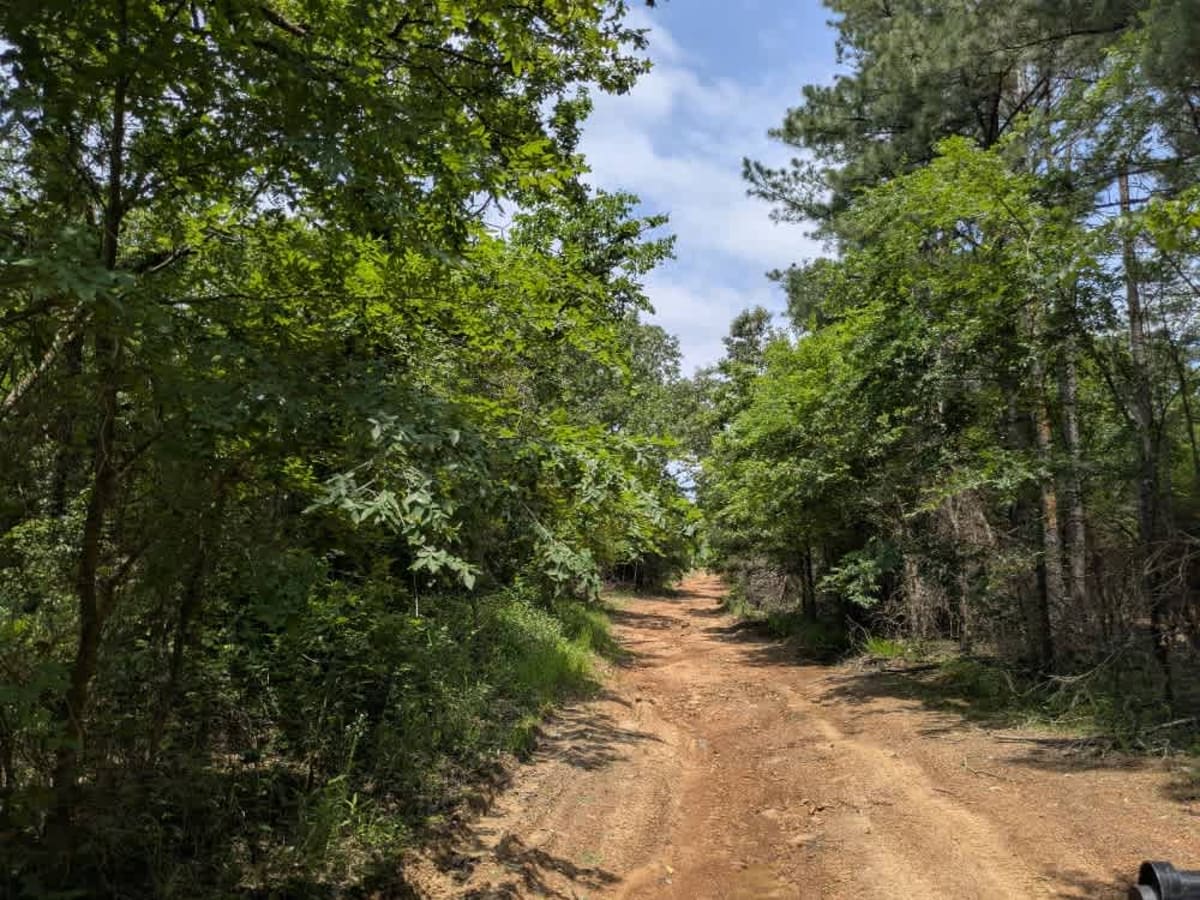 Ridge Road photo 6