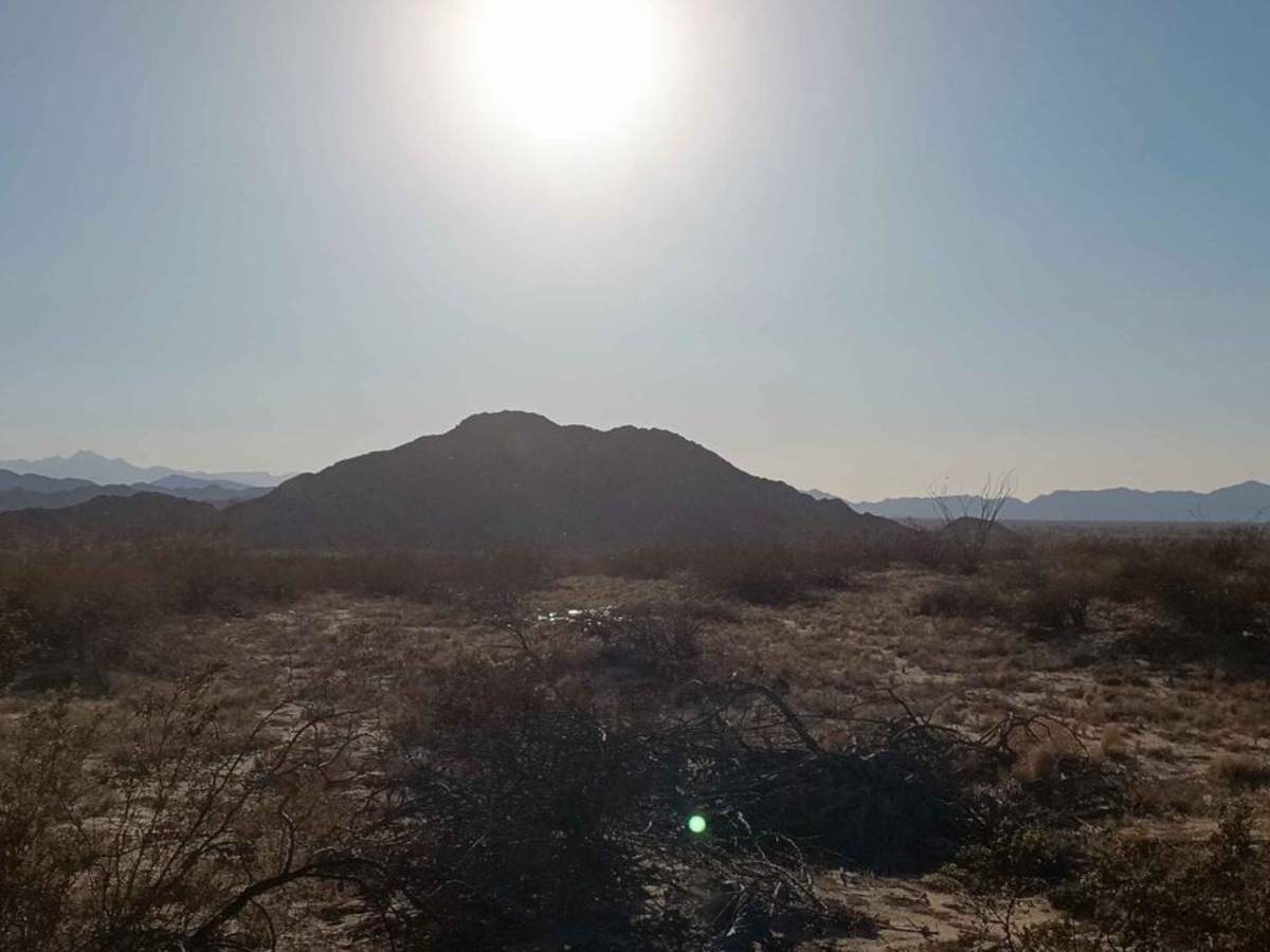 Coastal Whoop Run trail photo