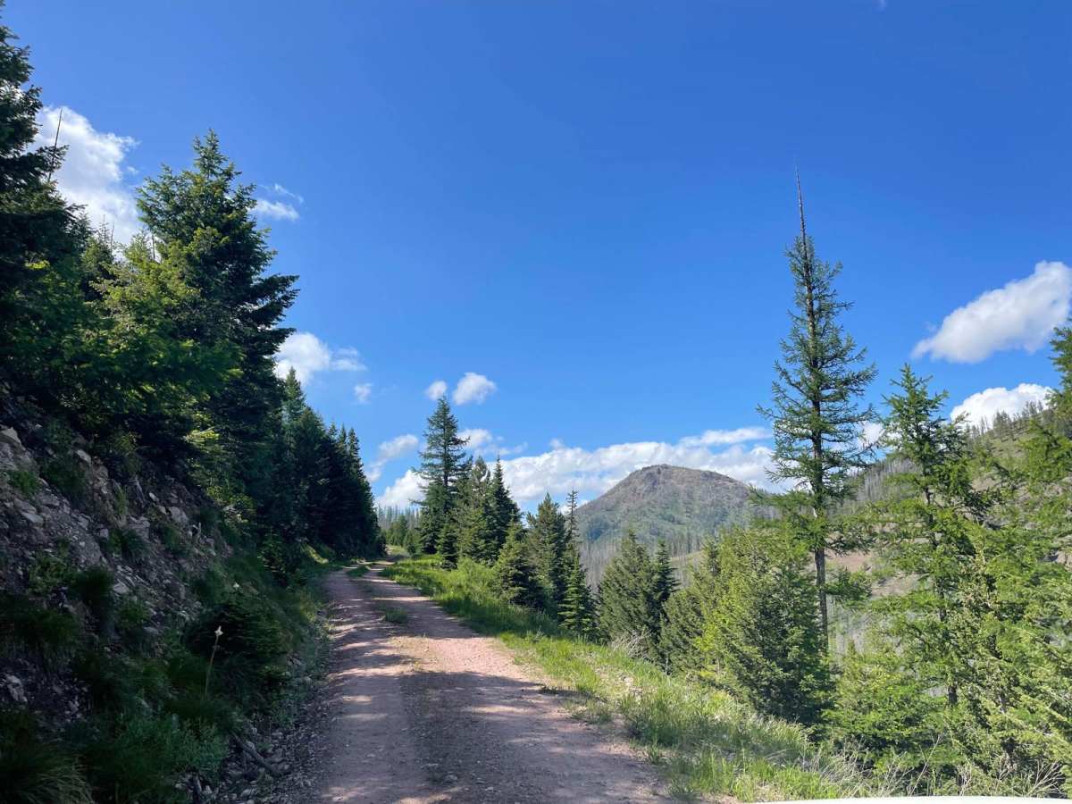 Stanley Creek trail photo
