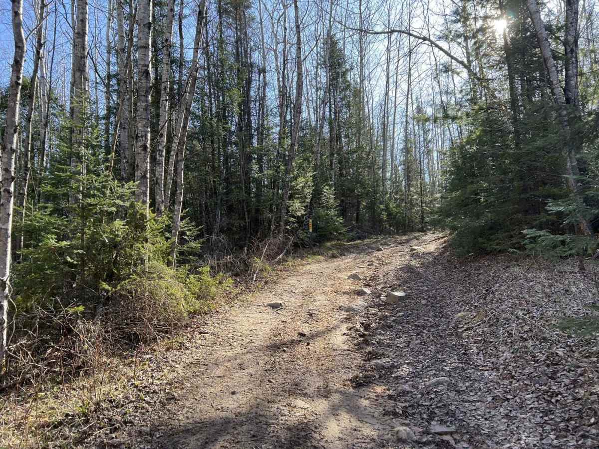 Norway Truck Trail 1 photo 6
