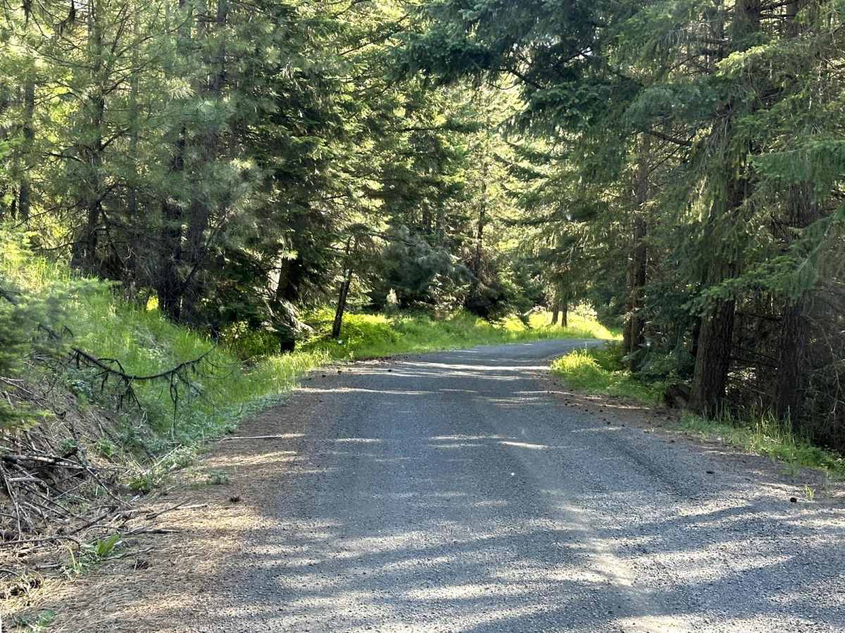 Milk Creek Road photo 2
