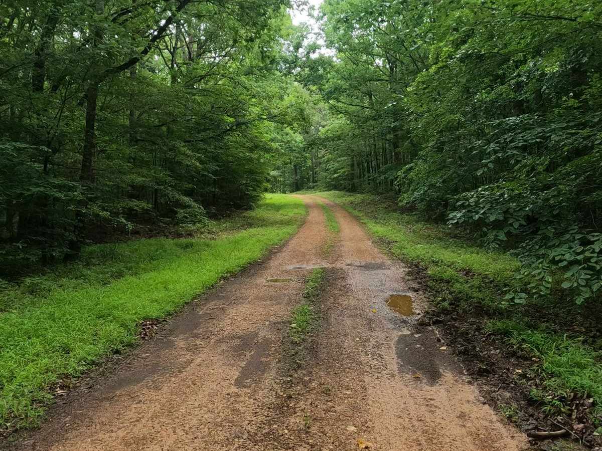 Fox Hollow Hill FSR 218 photo 6