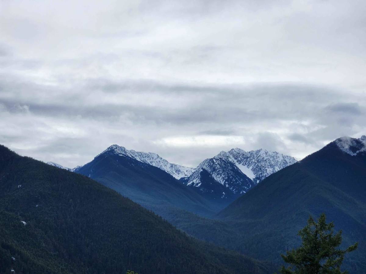 Dungeness Fork Run trail photo
