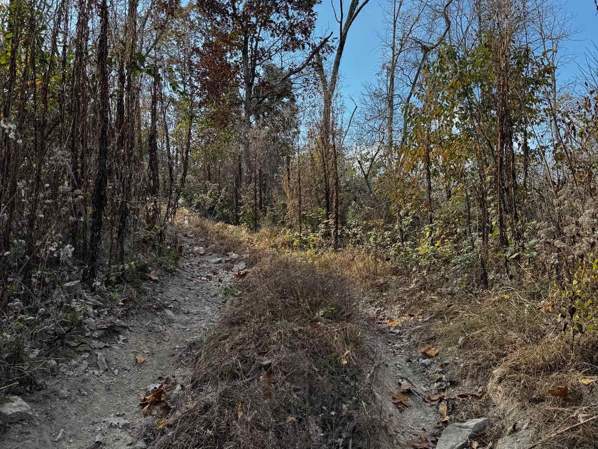 Dog Leg photo 3