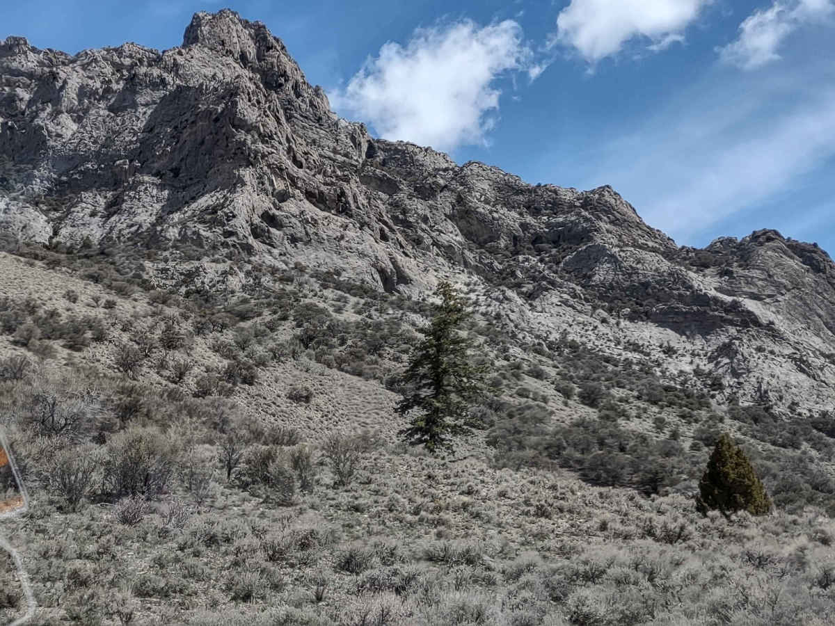Wood Canyon - FS 561 photo 4
