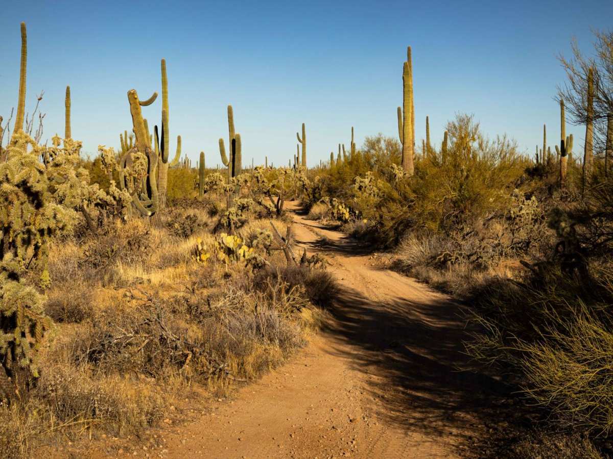 Junction to Middle Mountain photo 5