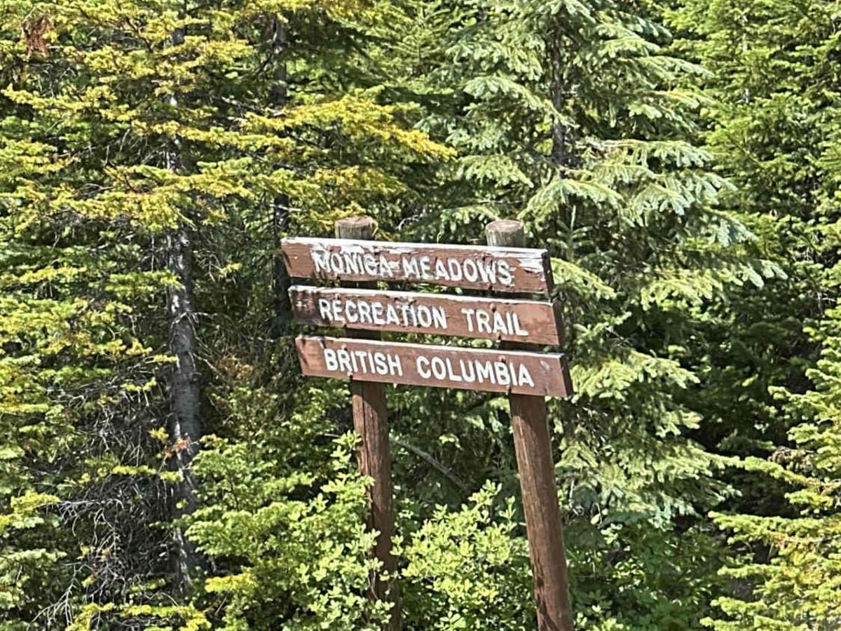 Monica Meadows trail photo