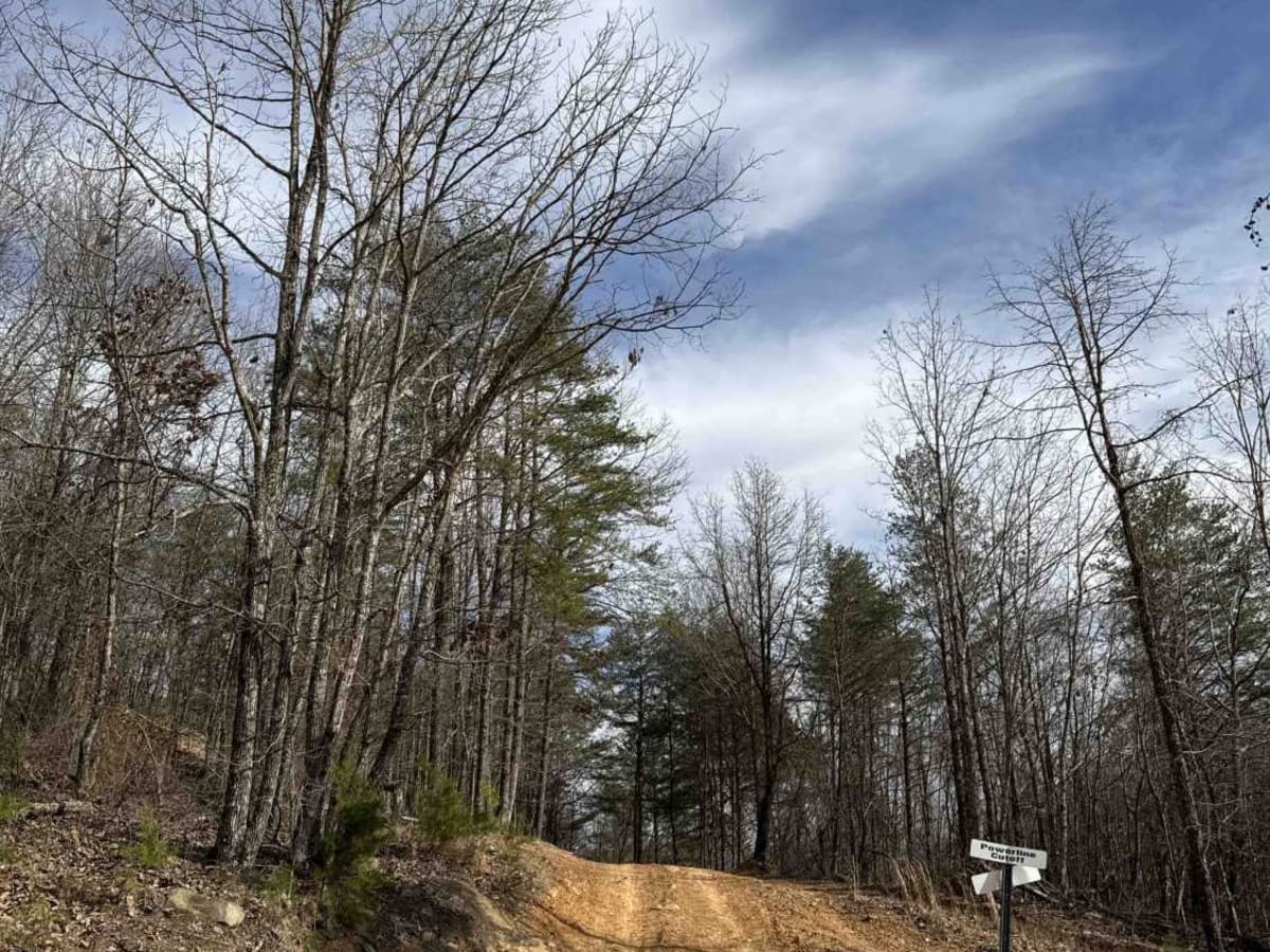 #2 Bluff Trail trail photo