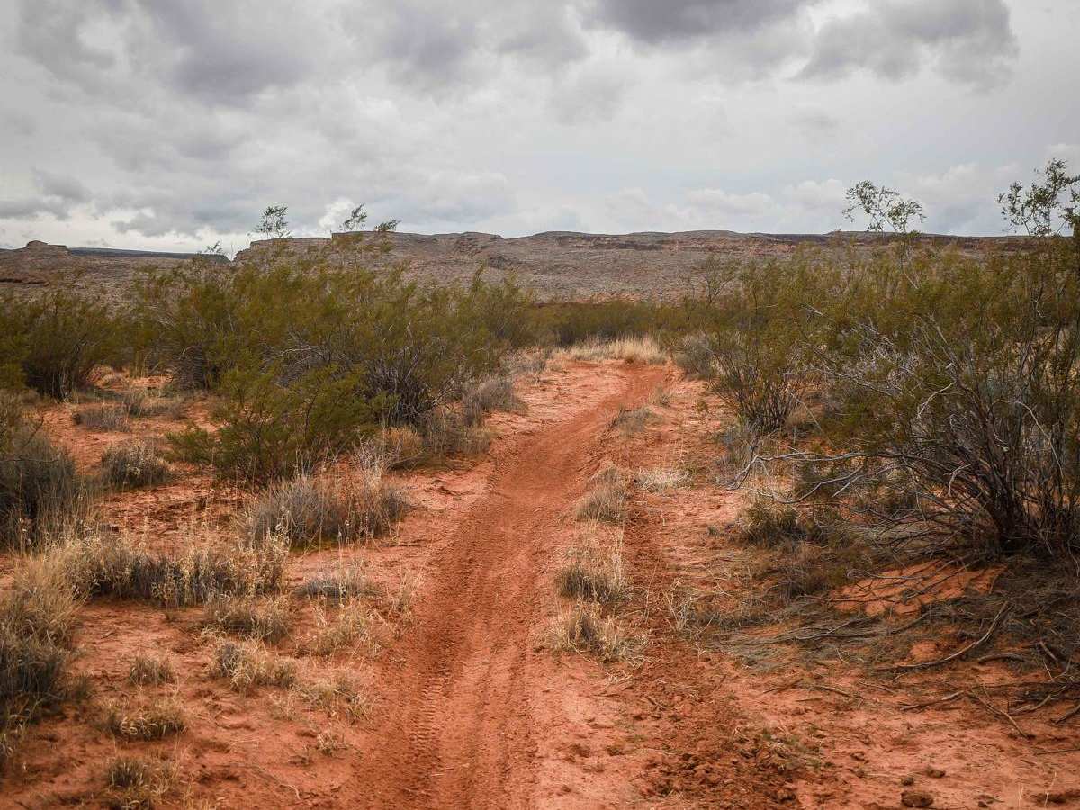 Access Single Track photo 4