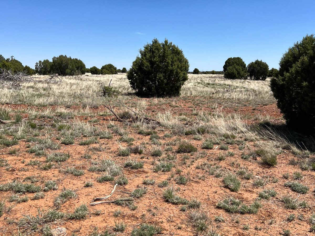 Antelope Shortcut photo 2