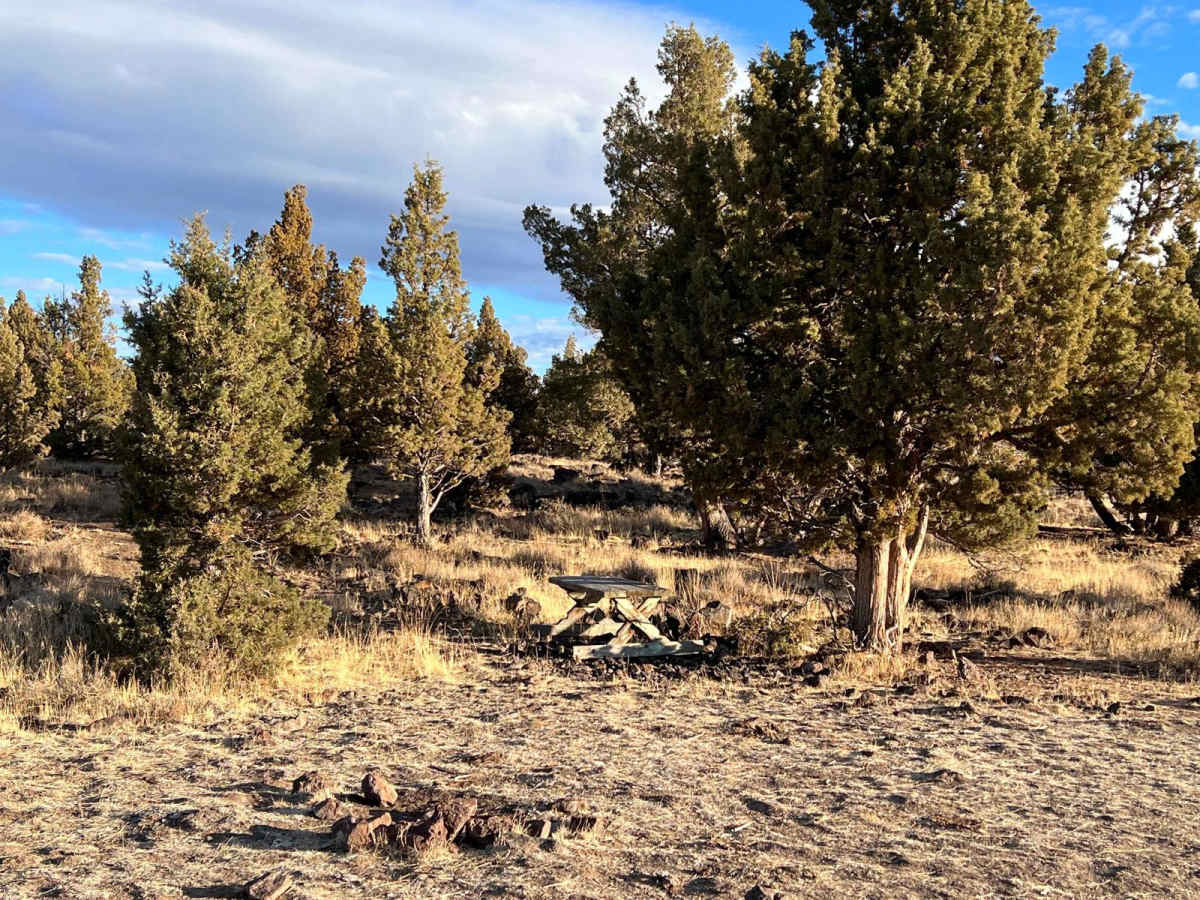 Smith Flat Huffman Camp photo 4