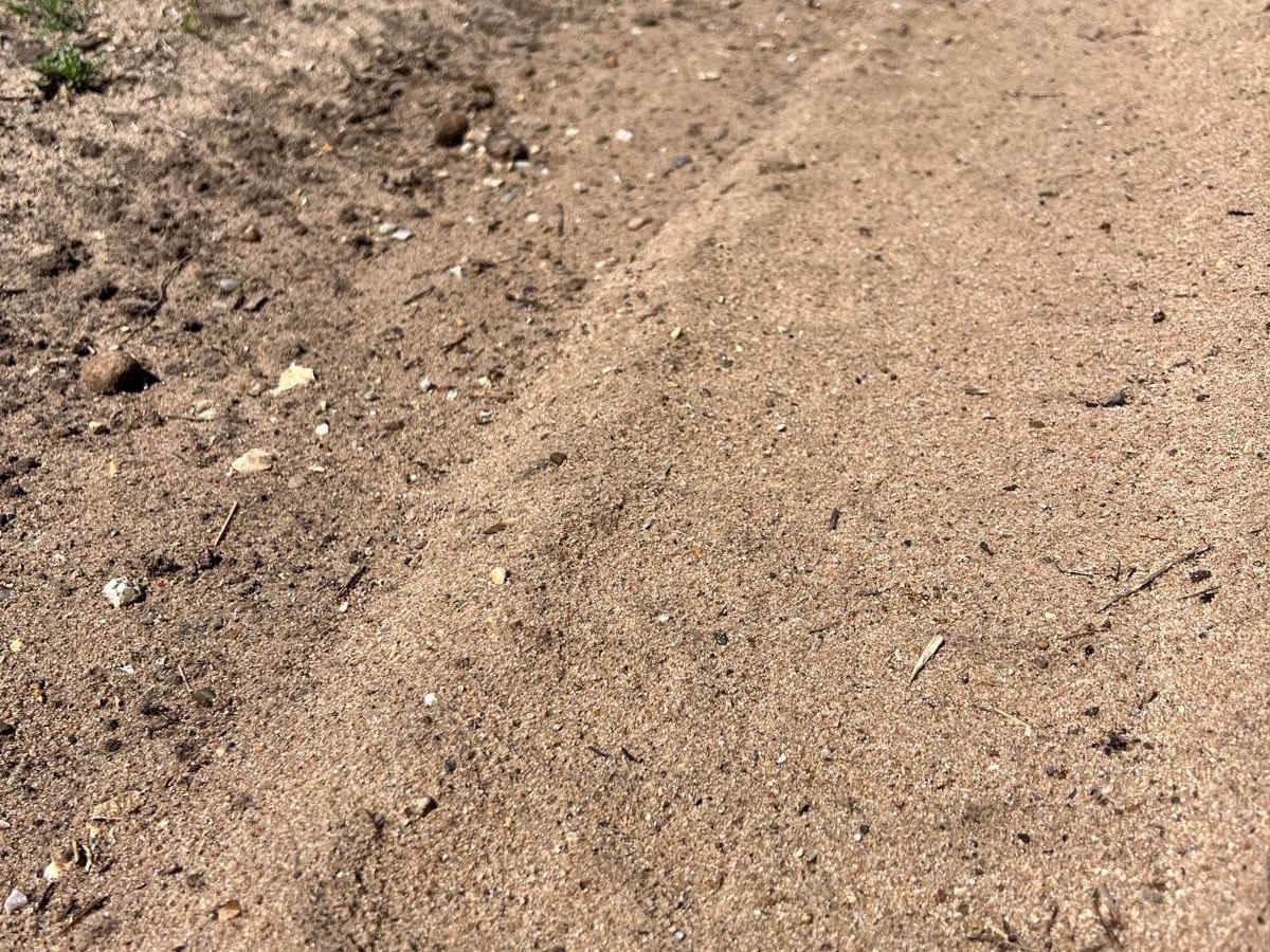 AG Trail photo 4