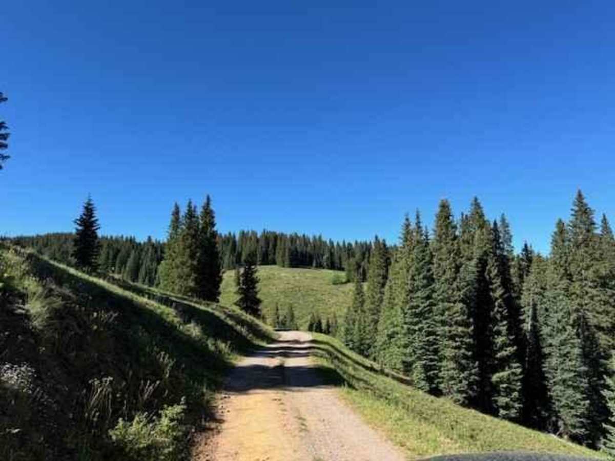 Elbert Creek Road trail photo