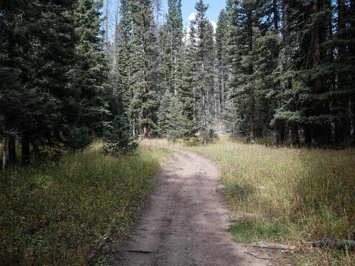 Lou Creek ATV photo 5