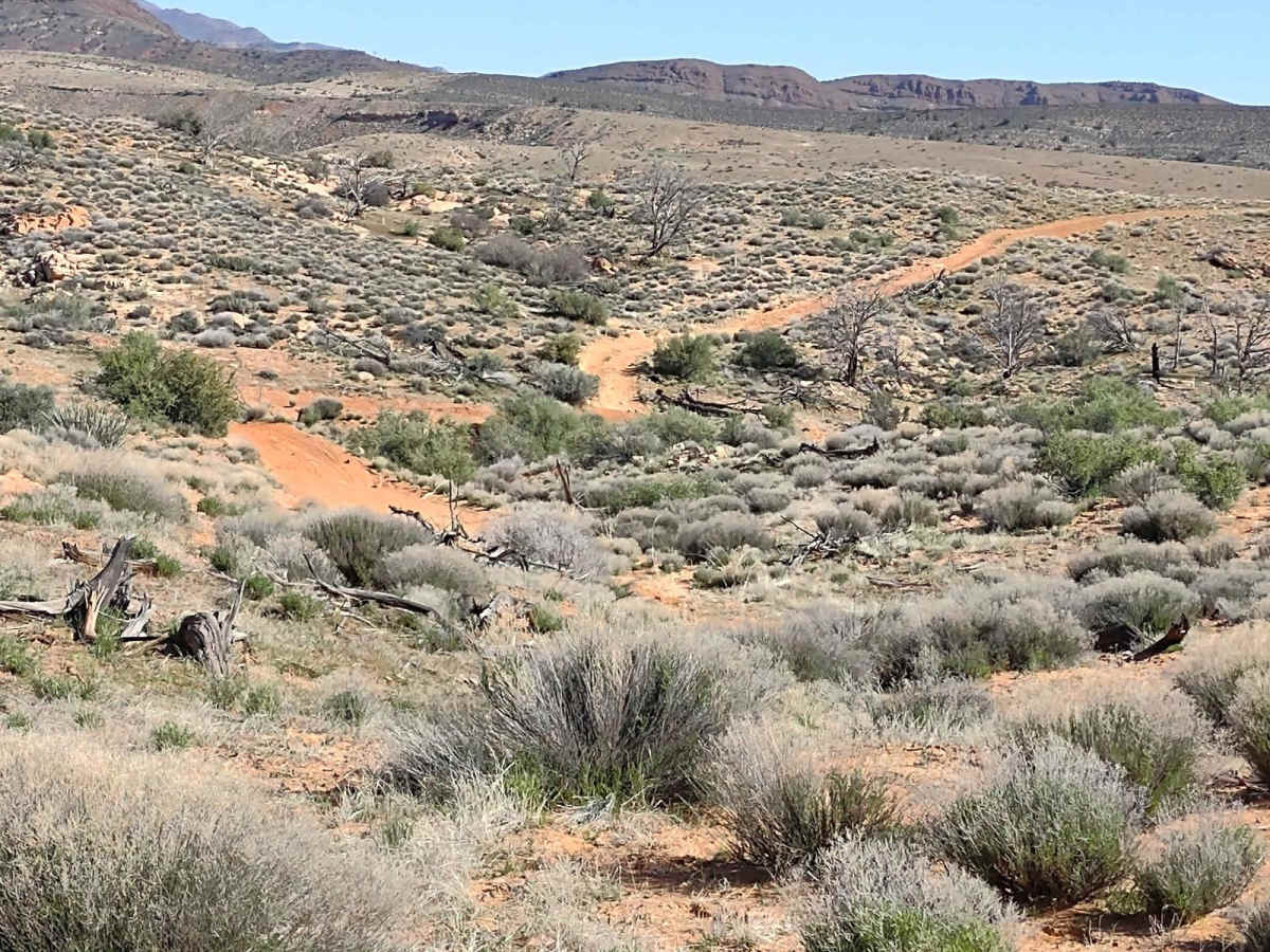 Gunlock Campground Access trail photo