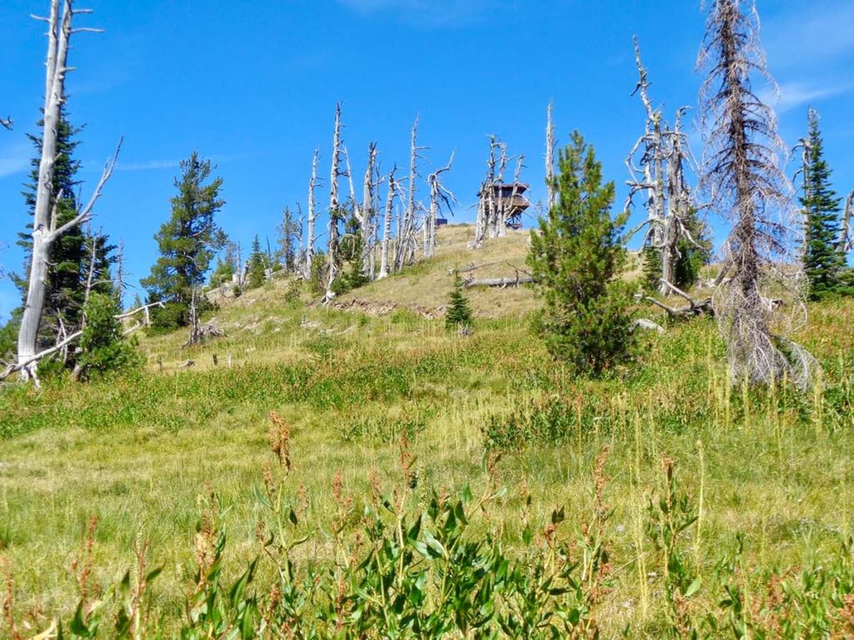 Nemote Creek to Stark Lookout trail photo
