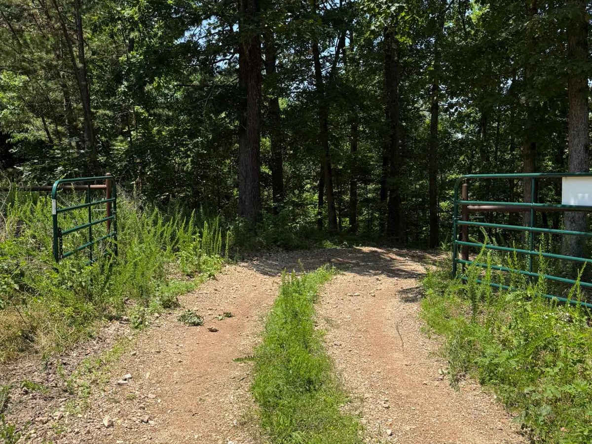 Hunter's Trail trail photo