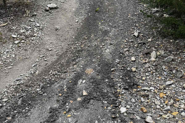 Red 167