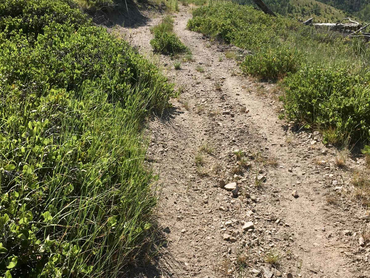 Blacktail ATV Trail photo 3