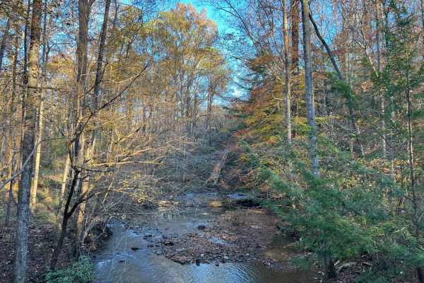 Brushy Creek Road - NF 254