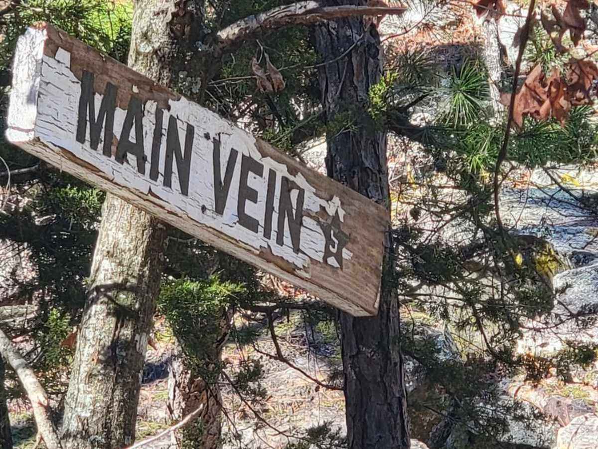 Main Vein trail photo