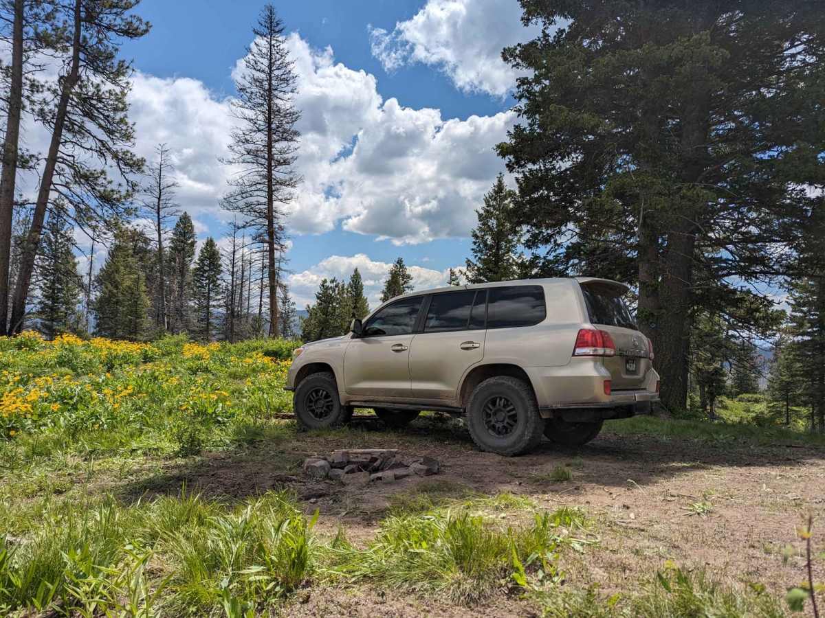 Spur 25LM/25LL to Mountain Campsite trail photo