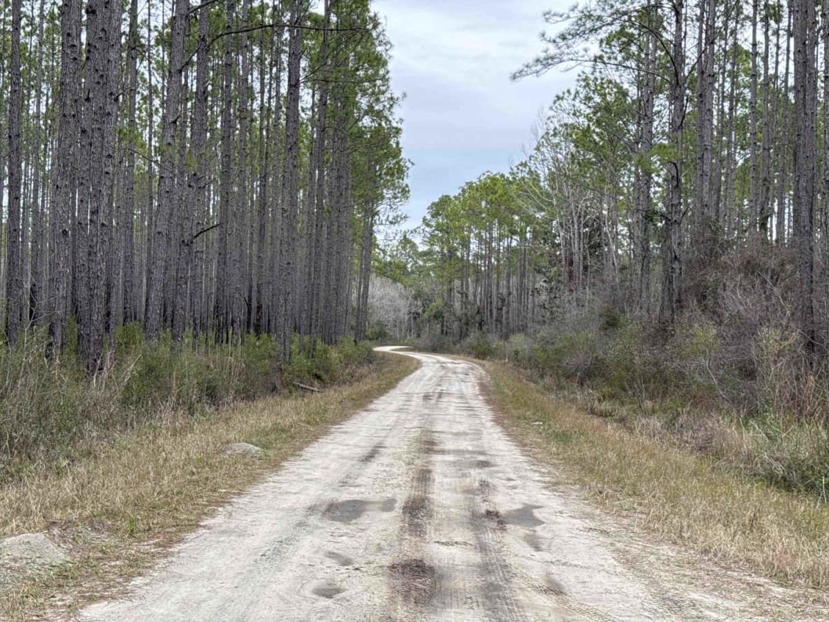 McIntyre Road photo 4