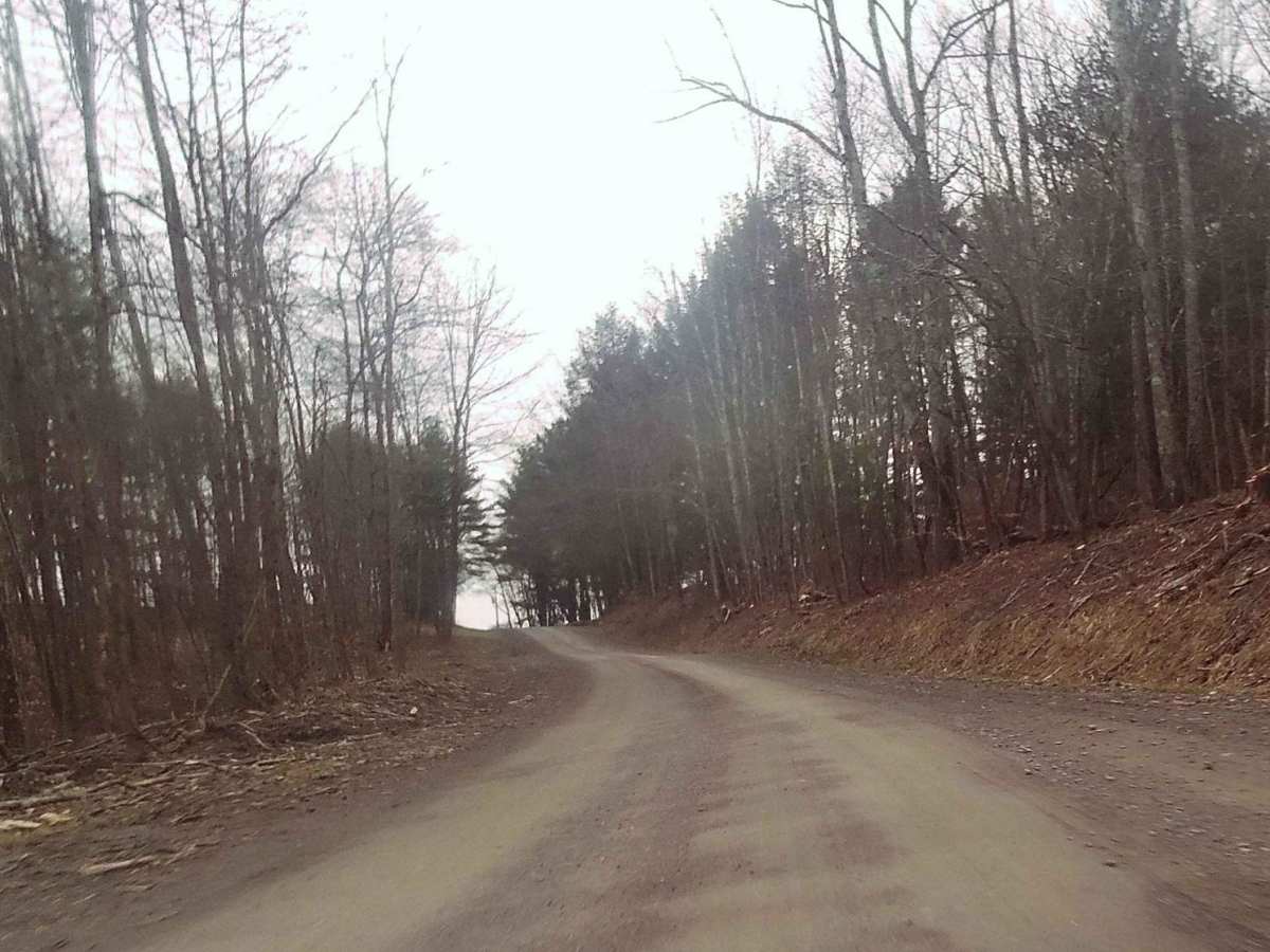 Reagan Hill Road photo 3