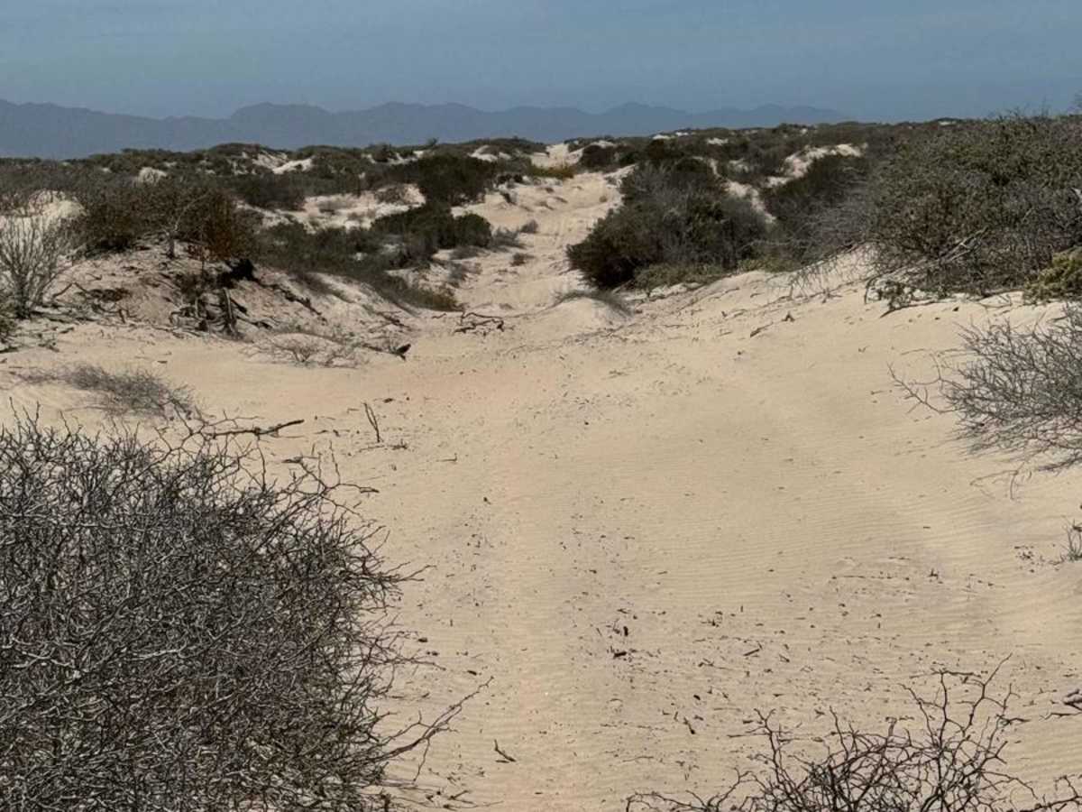 Guatamota Dunes photo 5