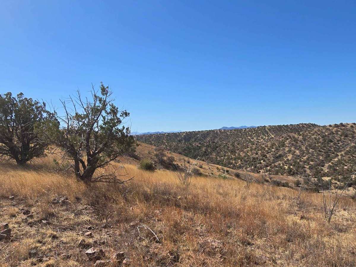 Hog Canyon- BLM 4111 photo 6