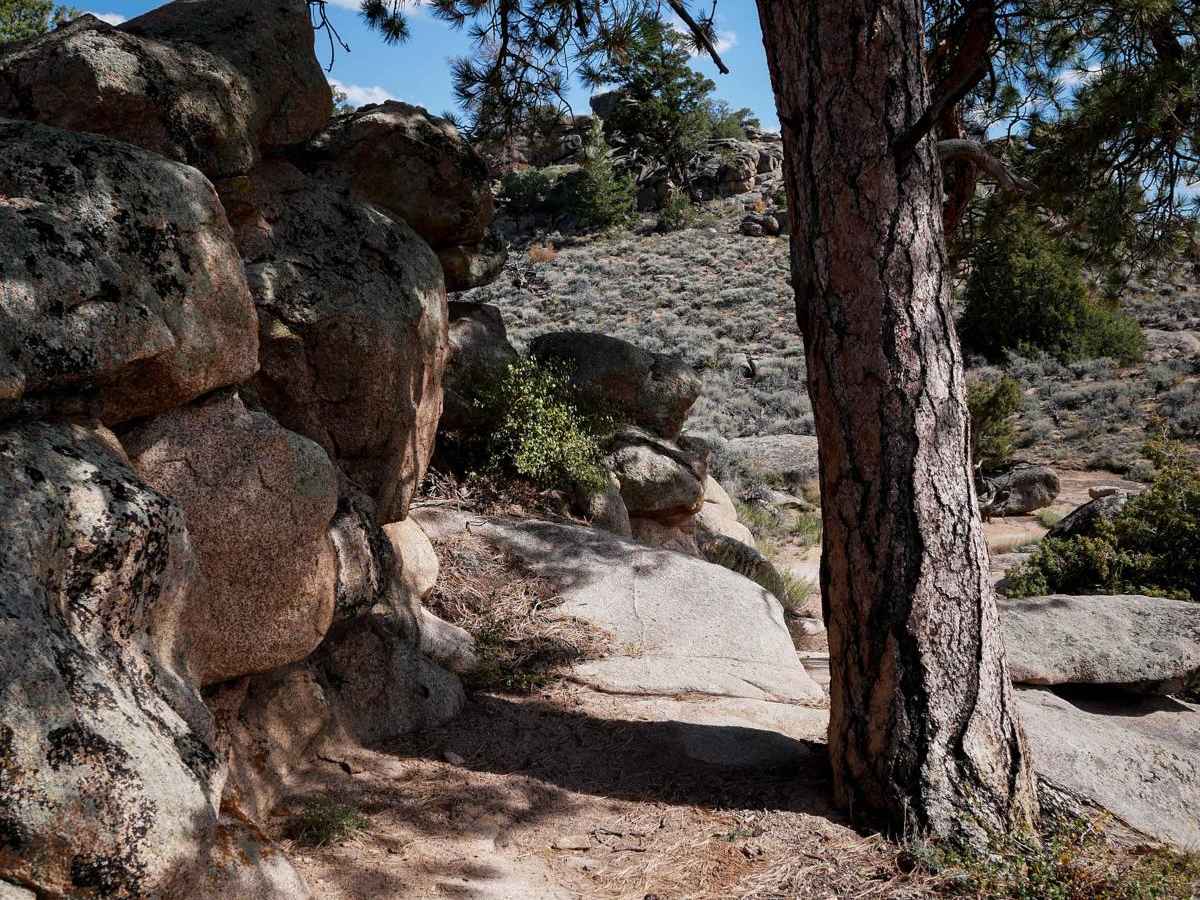 Outback trail photo