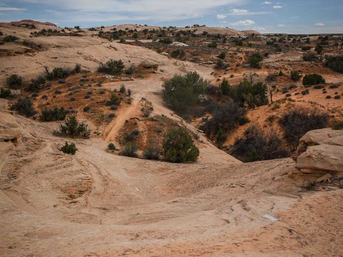 Cow Freckles trail photo