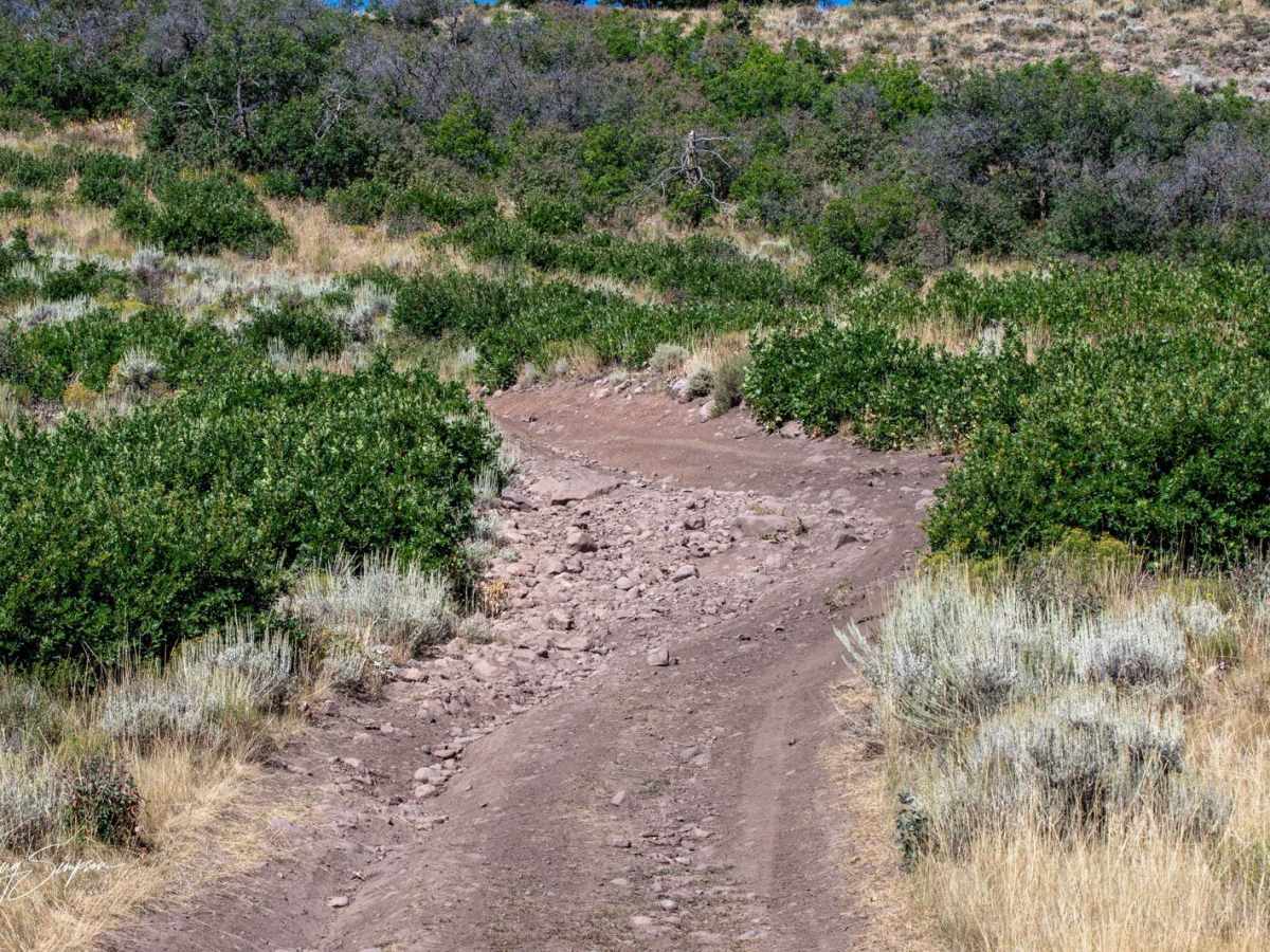Soap Creek FR 721 photo 2