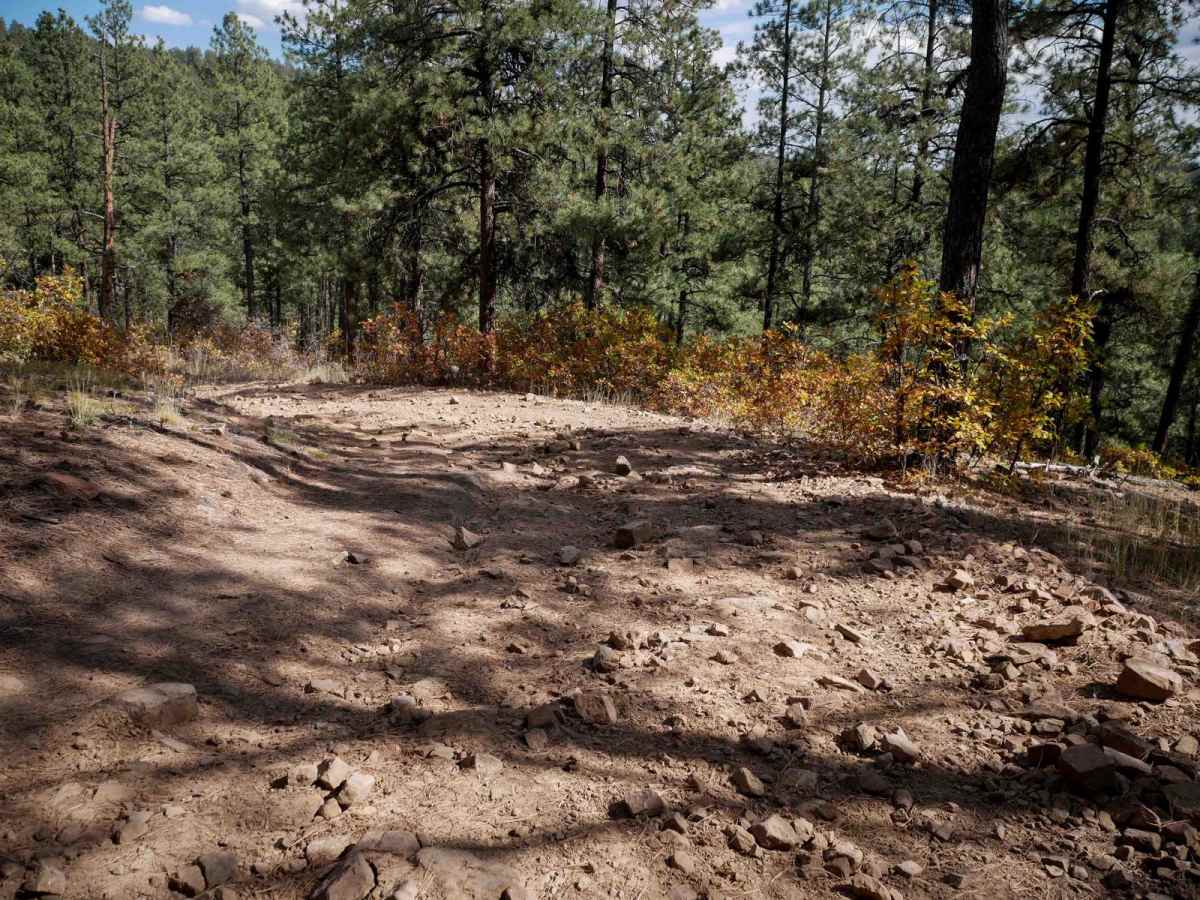 Snow Ranch C photo 4