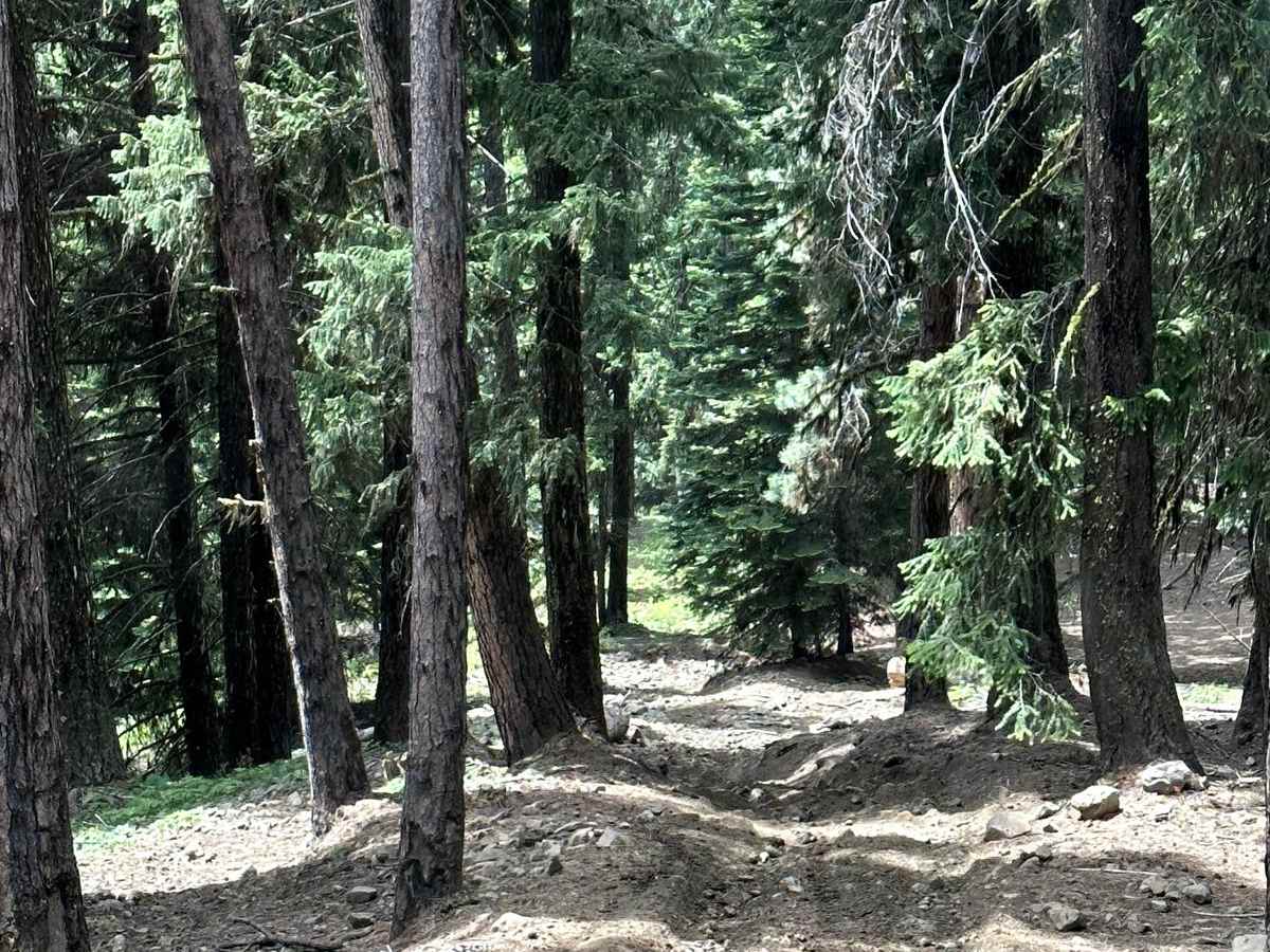 Upper Kaner Ridge Trail photo 5