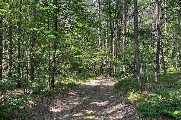 Trail 5389