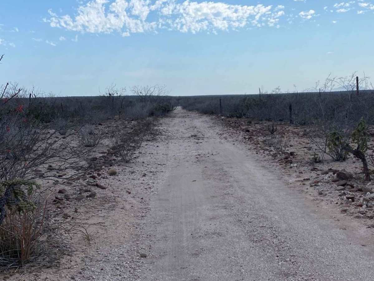 Puerto Chale Cutoff photo 5
