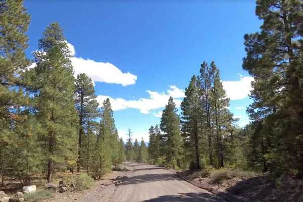 Pine Creek Road FS 30153
