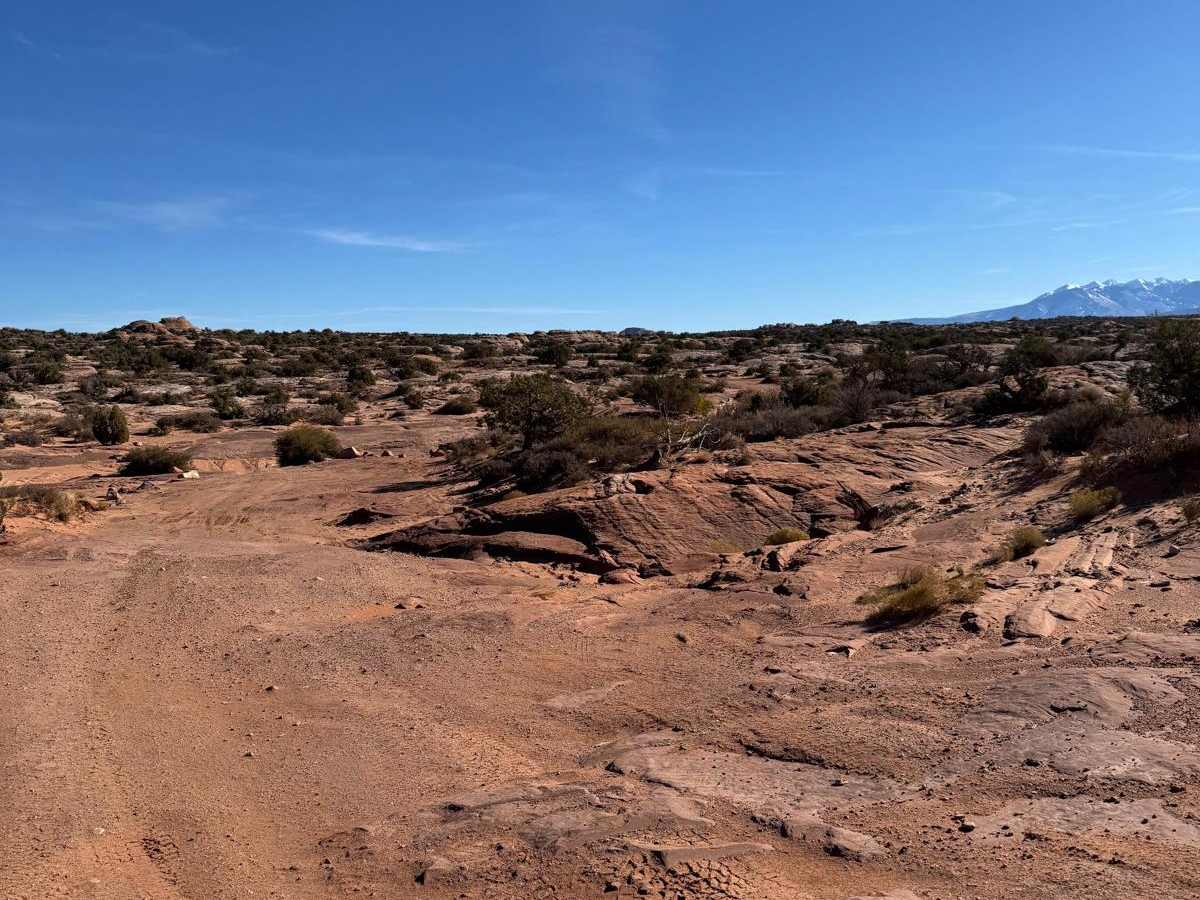 Willow Springs Trail and Dinosaur Tracks photo 2