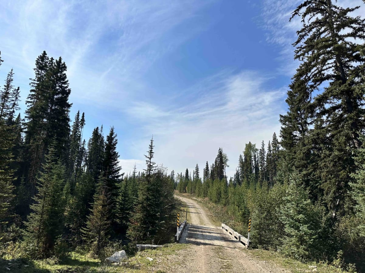 Sterling Forest Service Road photo 6