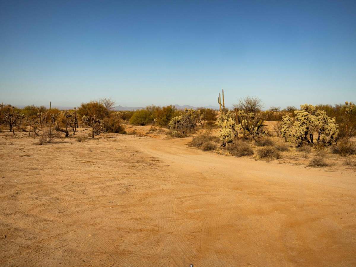 Access Junction trail photo