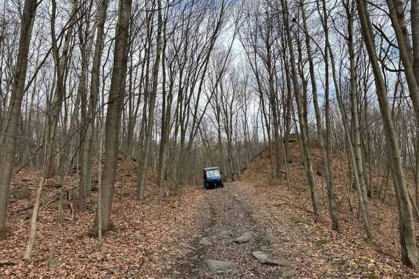 Locust Gap 79