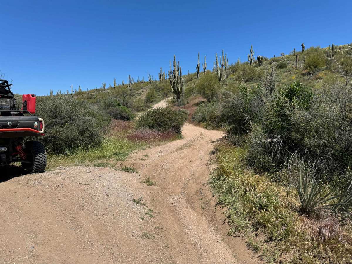 Camp Creek Wash to Bartlett Lake Road photo 5