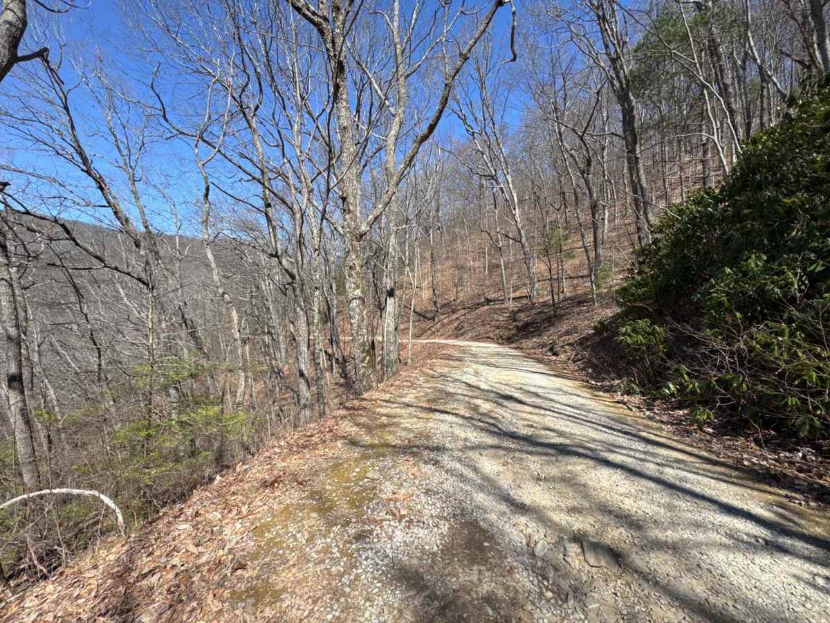 Indian Grave Gap - FR 283 photo 6