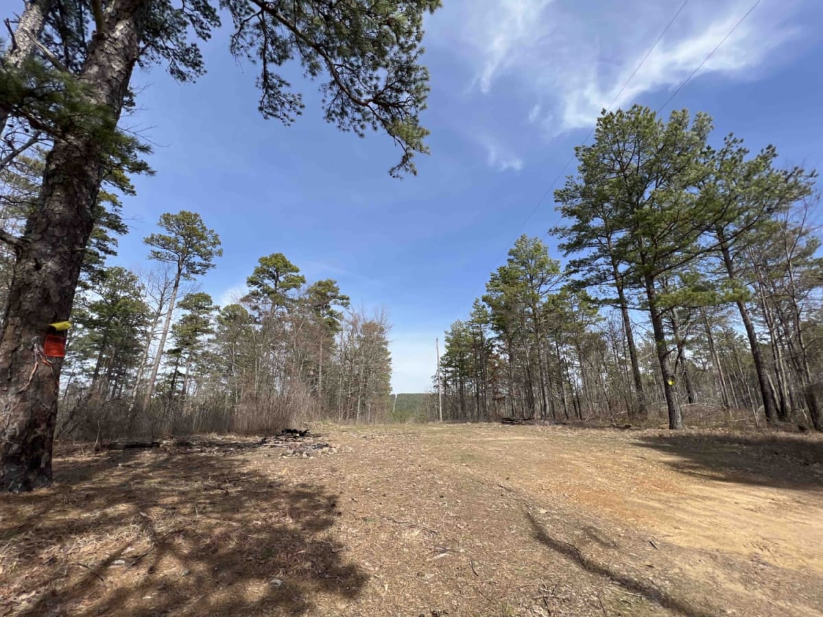 Long Mountain 76 photo 2
