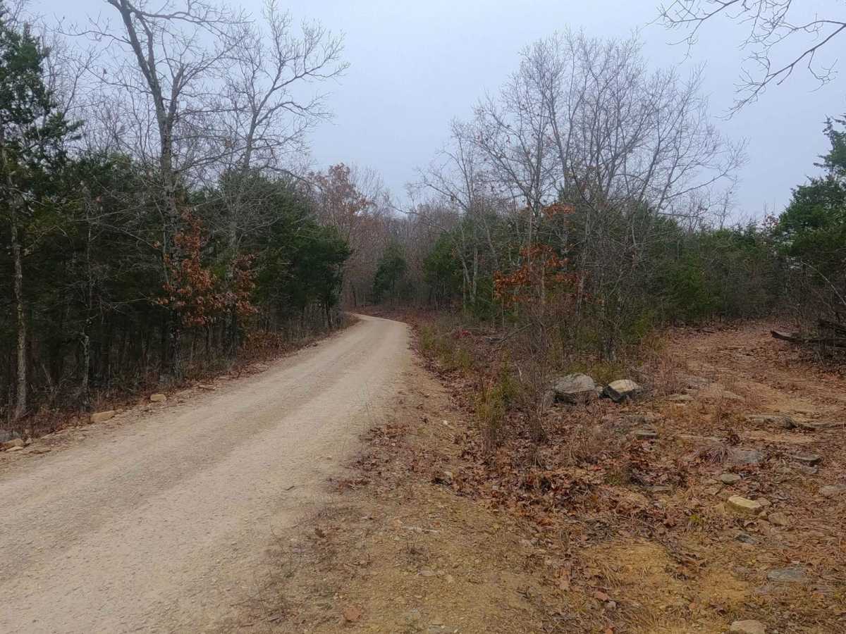 Fort Bald - FS 612 photo 6