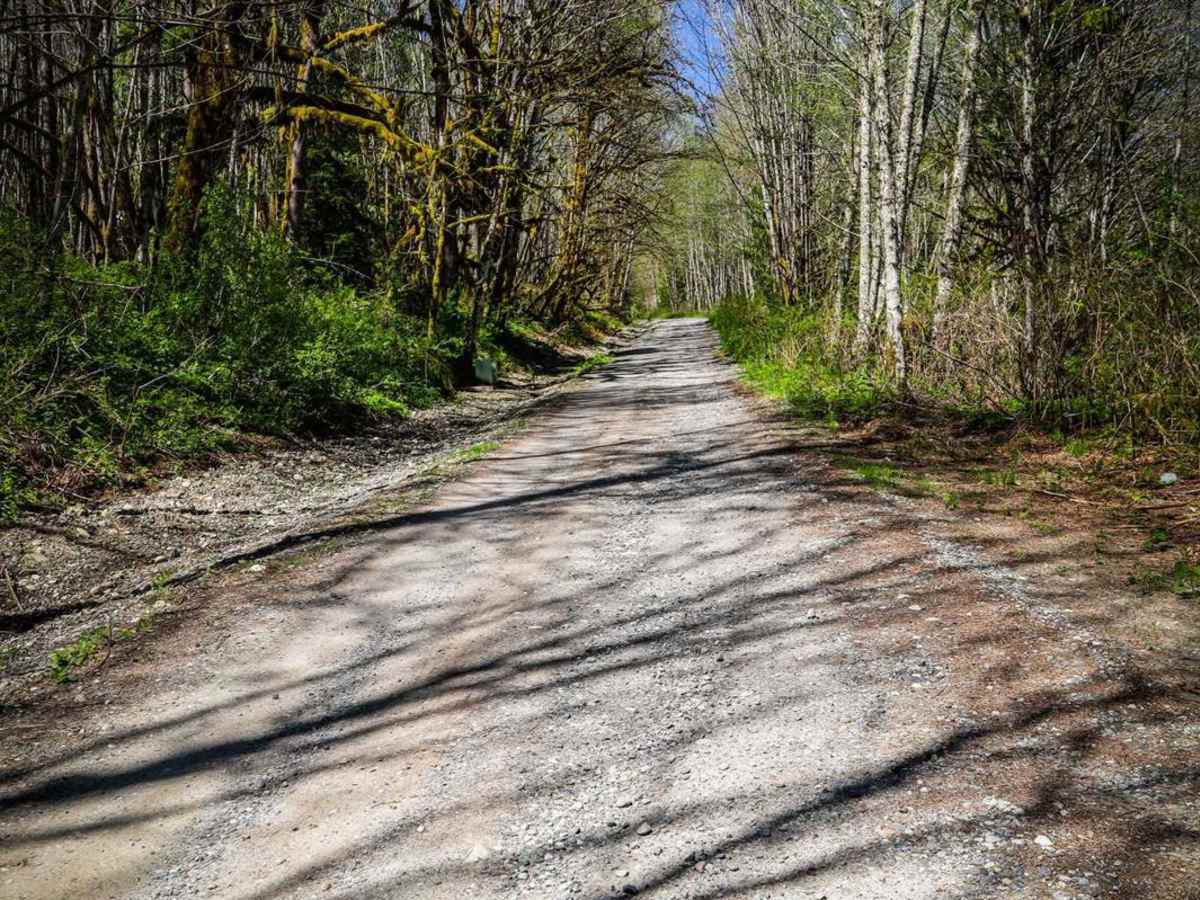 North Fork Stilly photo 3