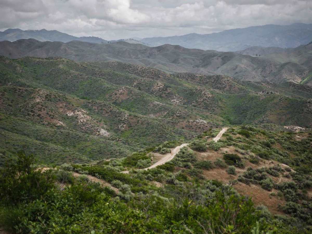 502 trail photo