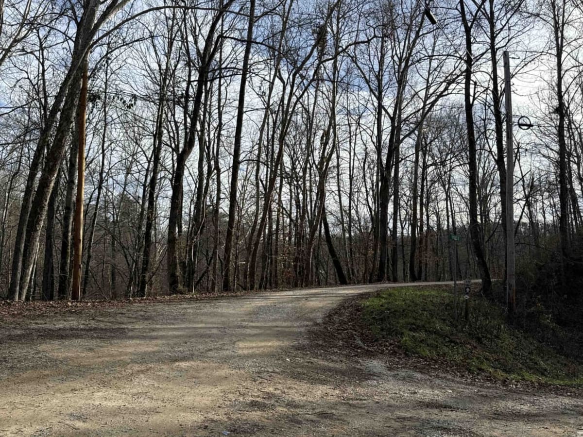Todds Road trail photo